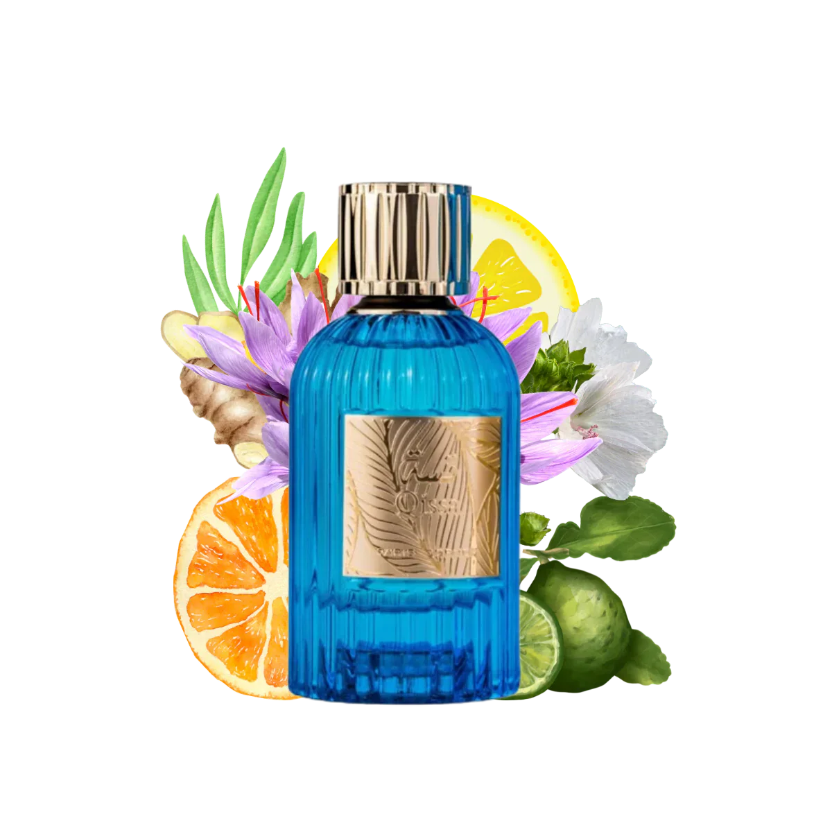 QISSA BLUE UNISEX EDP - 100ML (3.4oz) BY PARIS CORNER