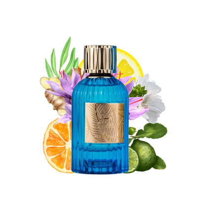 QISSA BLUE UNISEX EDP - 100ML (3.4oz) BY PARIS CORNER